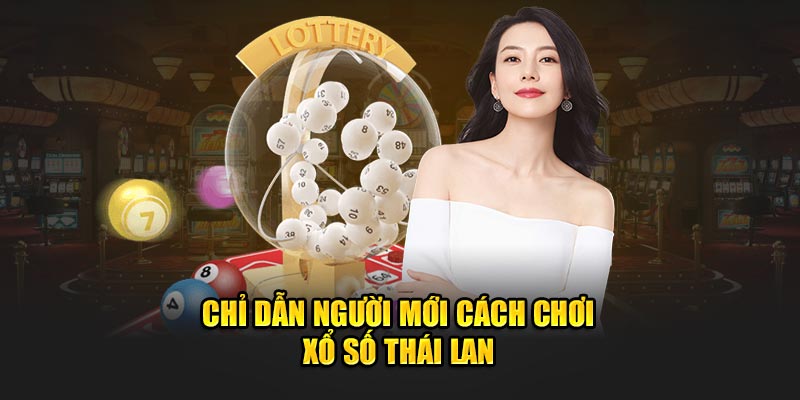 Chỉ dẫn người mới cách chơi xổ số Thái Lan 