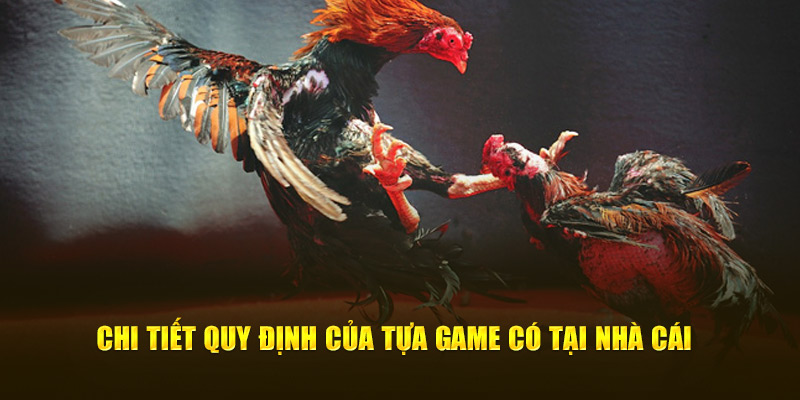 Chi tiết quy định của tựa game đá gà Mỹ tại nhà cái 77Win