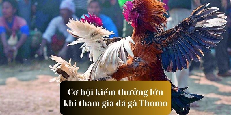 Trải nghiệm cơ hội kiếm tiền cực lớn khi tham gia